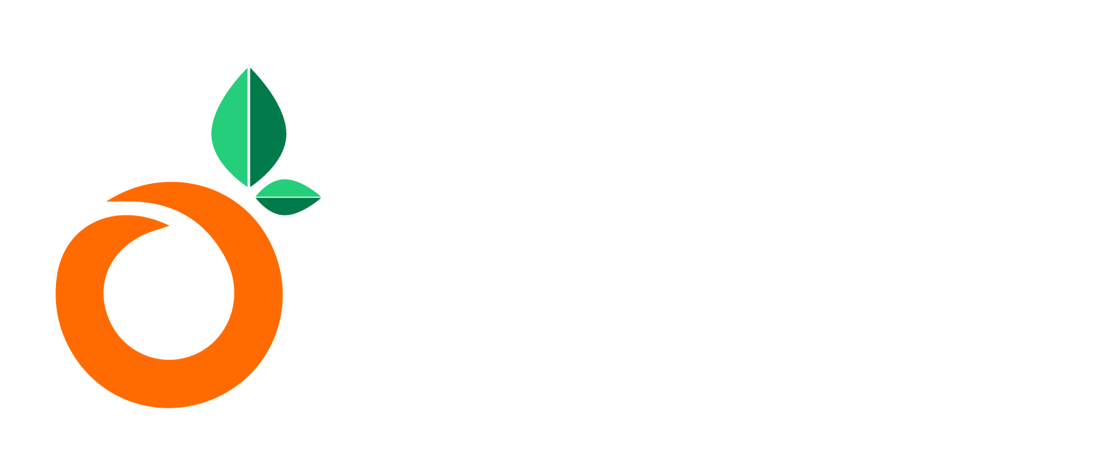 Tangerine Express